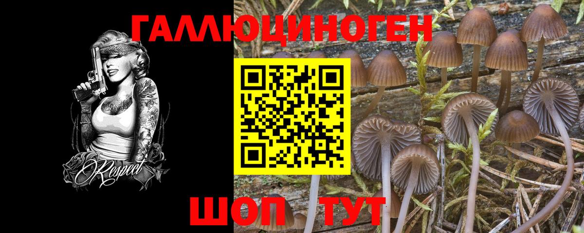 Псилоцибиновые грибы Cubensis Александров