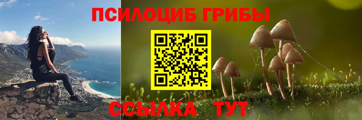 Александров  Галлюциногенные грибы прущие грибы  Вход с VPN  как найти   Галлюциногенные грибы мицелий 